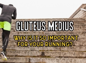 gluteous outer 2