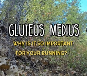 gluteus 1