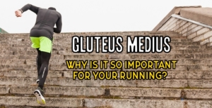 gluteus main